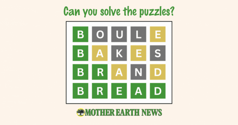 Quiz: Daily Breadle Image